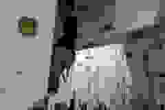 QNoEhokx1J