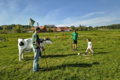 IMG_20260425_171908746_HDR